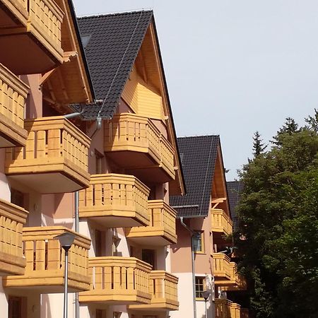 Apartament Podgorze 21 Apartment Шклярска Поремба Екстериор снимка